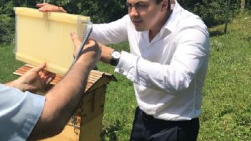 Момчил Неков: ЕК иска по-екологична селскостопанска политика, но не предлага финансова подкрепа за опрашването