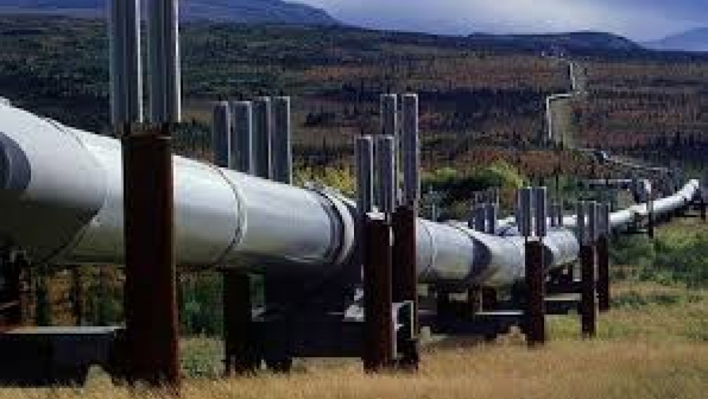Скопие одобри сътрудничеството за природен газ с България  