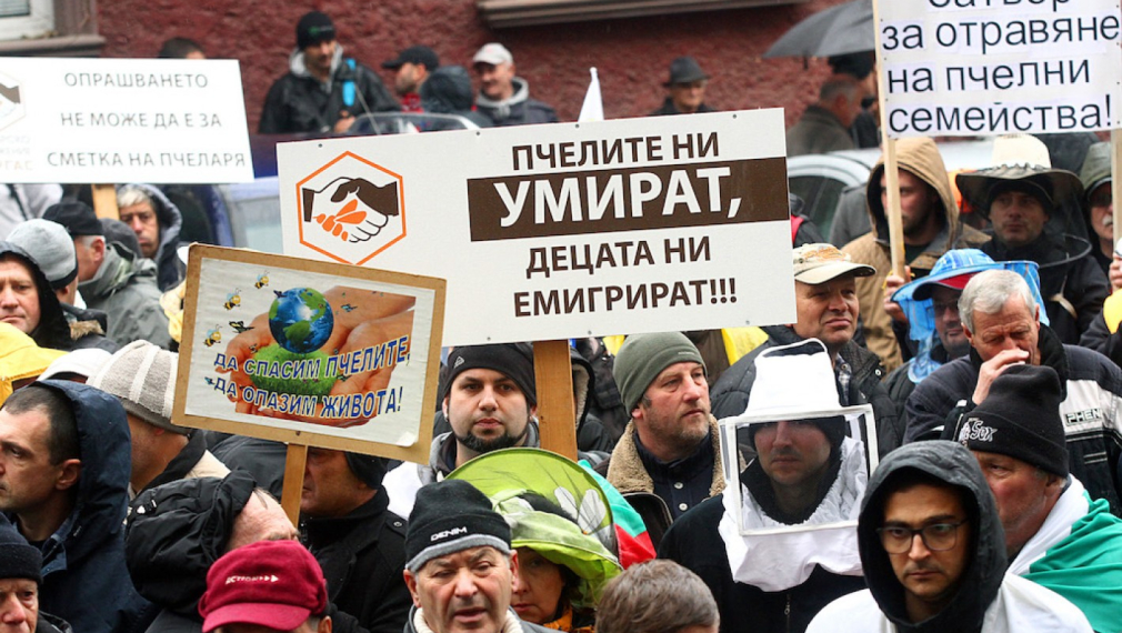 Пчелари излязоха на протест заради масовия мор на кошери