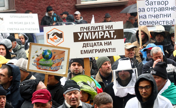 Пчелари излязоха на протест заради масовия мор на кошери