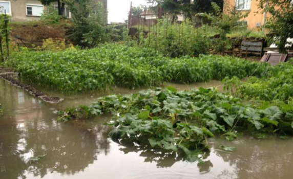 Мизия отново е под вода, обявено е бедствено положение