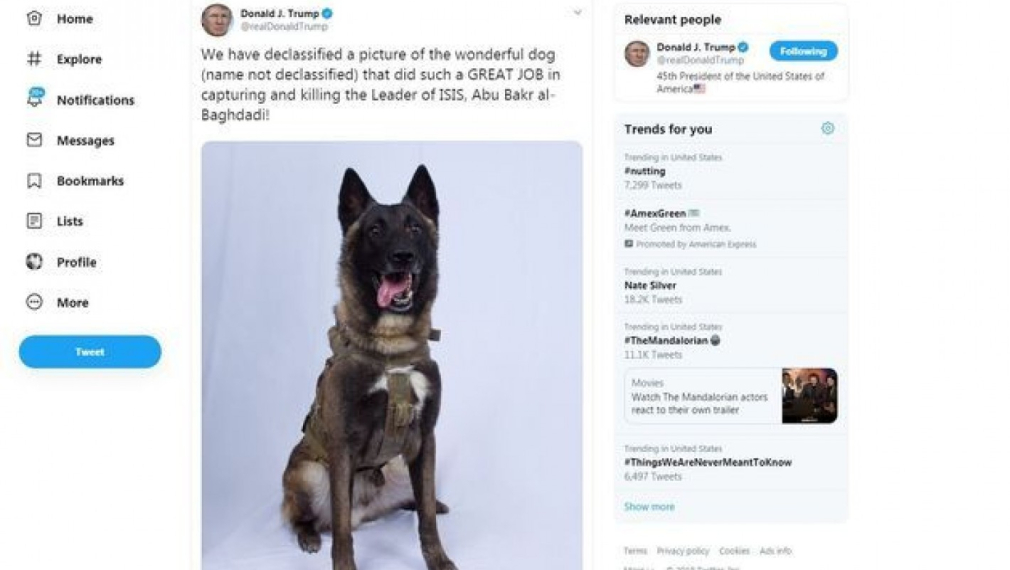 Тръмп пусна снимка на кучето, участвало в атаката срещу Багдади 