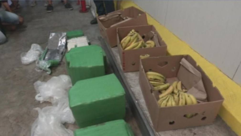 Обискират всички складове на фирмата-получател на бананите с кокаин 