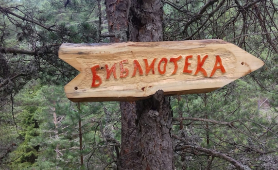 За нуждата от библиотека, за пейката и за приятелството 
