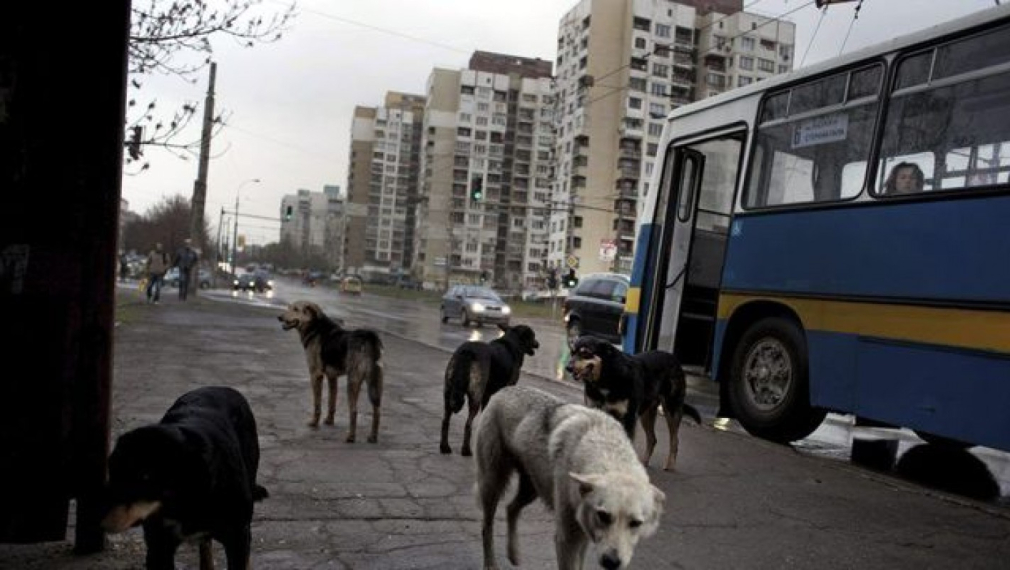 Обявиха София за най-лошия град за живеене в ЕС