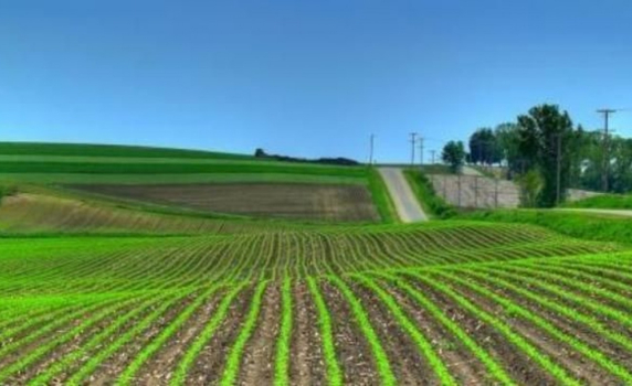 Властта отложи законопроекта за продажба на земя на чужденци
