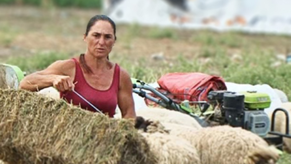 Фермерката Ани от Странджа спечели делото: Чума не е доказана