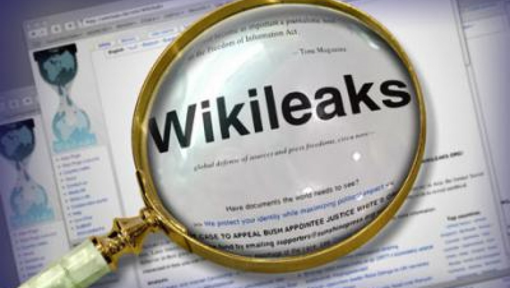 WikiLeaks публикува доклад на Джеймс Пардю за България