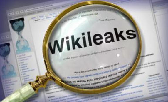 WikiLeaks публикува доклад на Джеймс Пардю за България