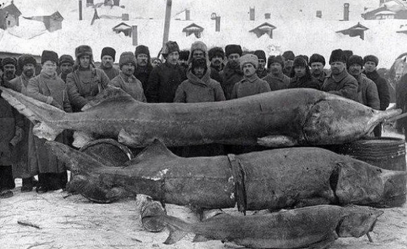 15 шокиращи исторически факти, за които не са ви преподавали в училище (снимки) 