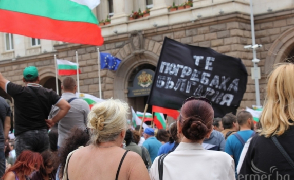 Чумата по животните разкри тежко увреждане на човешката психика