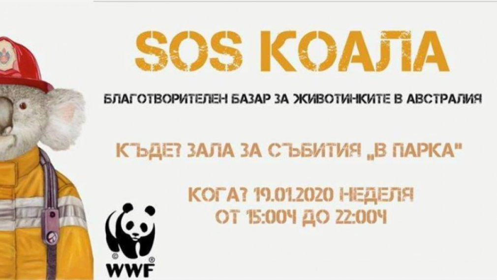 WWF в София събира пари за коалите в Австралия. Просто бизнес