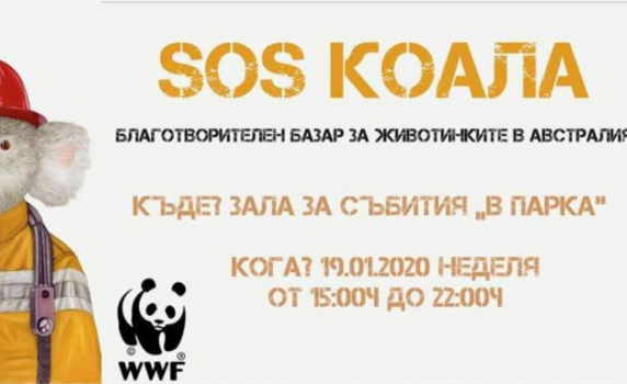 WWF в София събира пари за коалите в Австралия. Просто бизнес