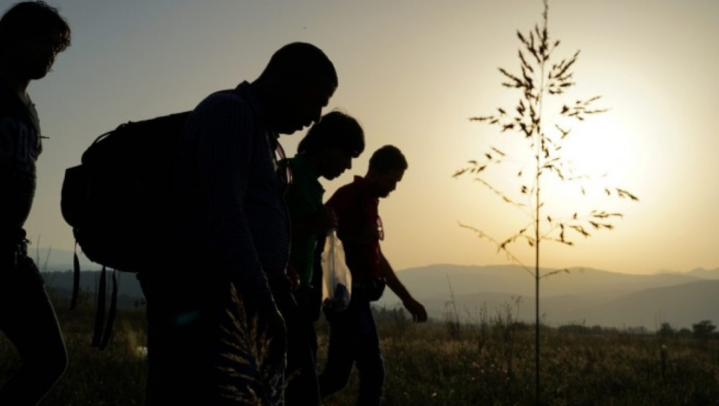 „Алфа рисърч“: 63% от българите се страхуват от бежанците 