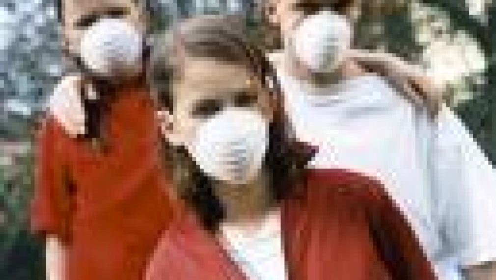103 са жертвите на свинския грип в Мексико