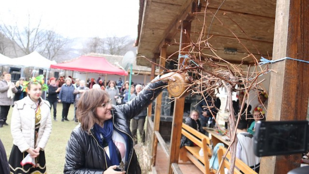 Корнелия Нинова заряза лозите в с. Врачеш 