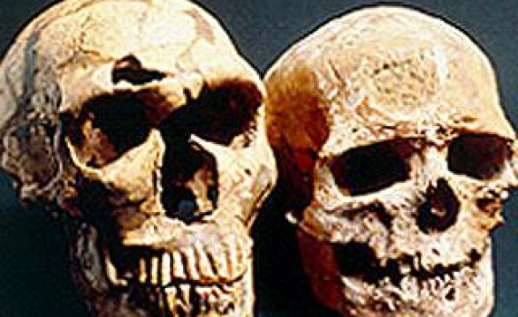 Учени са готови да клонират неандерталец