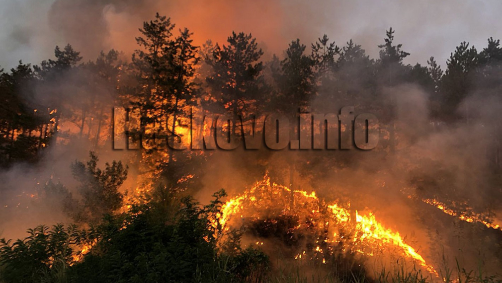 Бедствено положение в община Свиленград заради пожарите