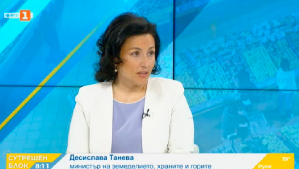 Танева: Няма квоти за храните във веригите 