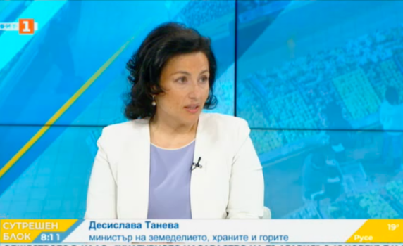 Танева: Няма квоти за храните във веригите 