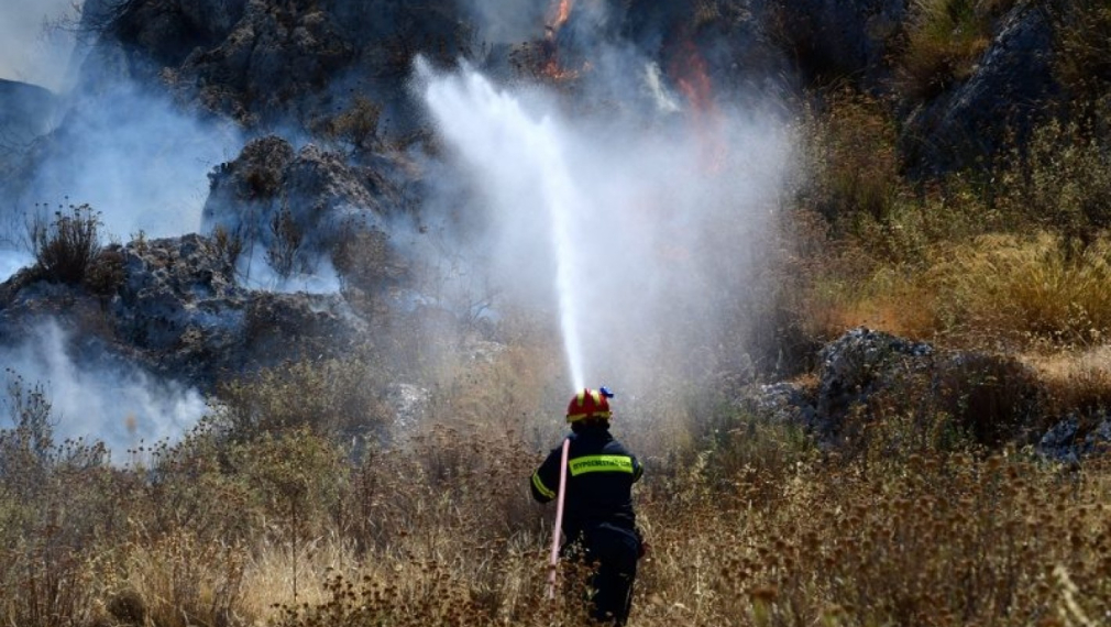 Голям пожар бушува край софийското село Реброво
