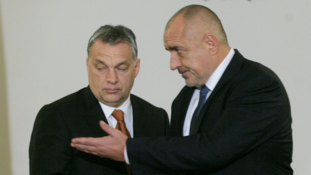  Последно: с Орбан или напротив?