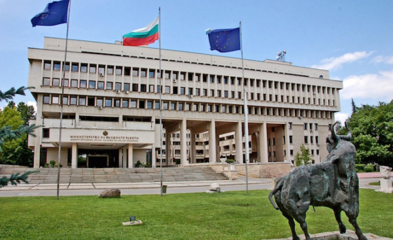МВнР: Осиновените в САЩ българчета са добре и под закрила на властите 