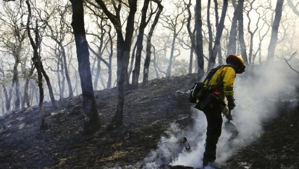 35 жертви на пожарите в Калифорния