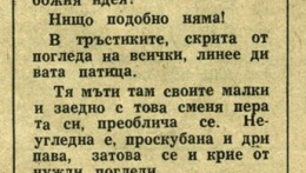 „Ние пак сме тук“ на Радичков сякаш е писан за днешния ден