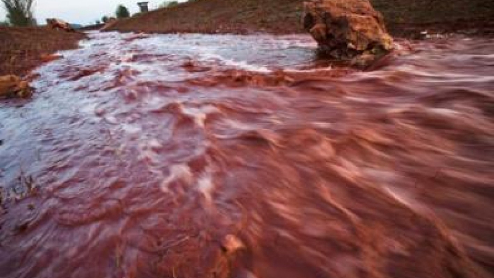 Няма опасност от замърсяване на българо-румънския участък на река Дунав 