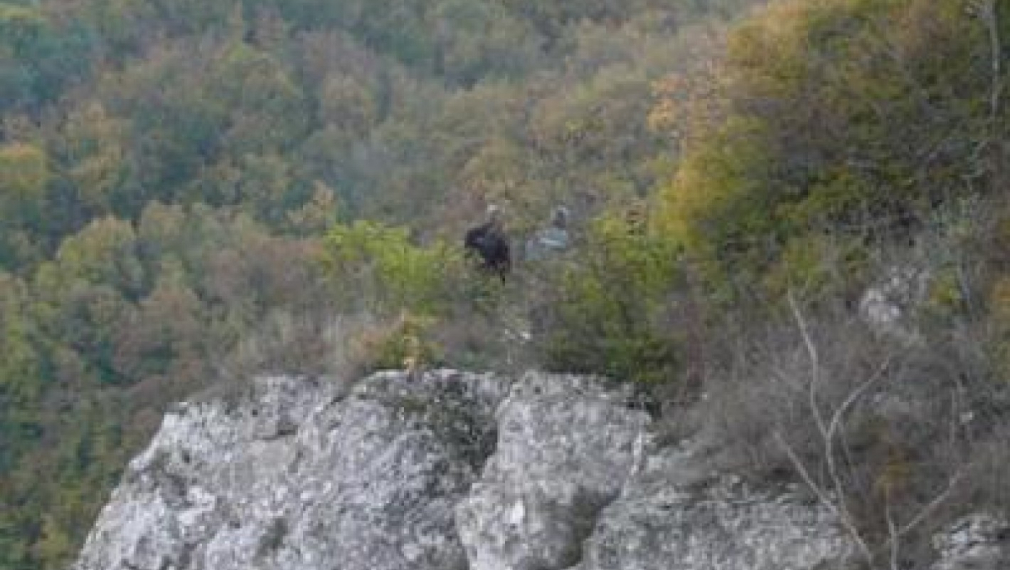 Шофьорът на окръжния прокурор на Шумен бе намерен с прерязано гърло