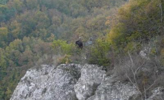 Шофьорът на окръжния прокурор на Шумен бе намерен с прерязано гърло