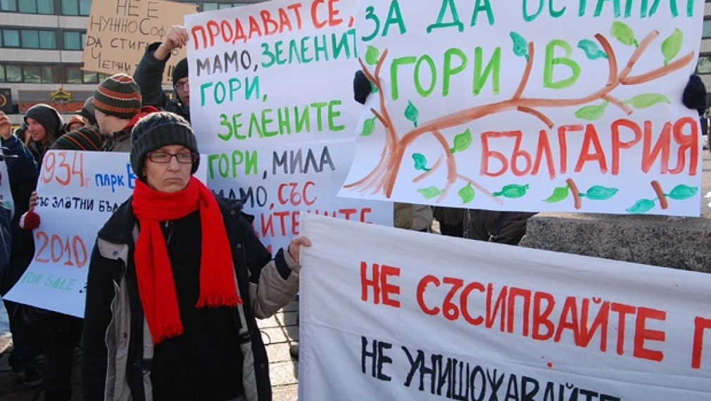 Протестиращи природозащитници: Да спасим гората от закона! Протестиращи природозащитници: Да спасим гората от закона!