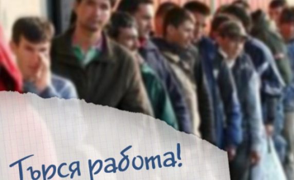Само 3 милиона в трудоспособна възраст работят