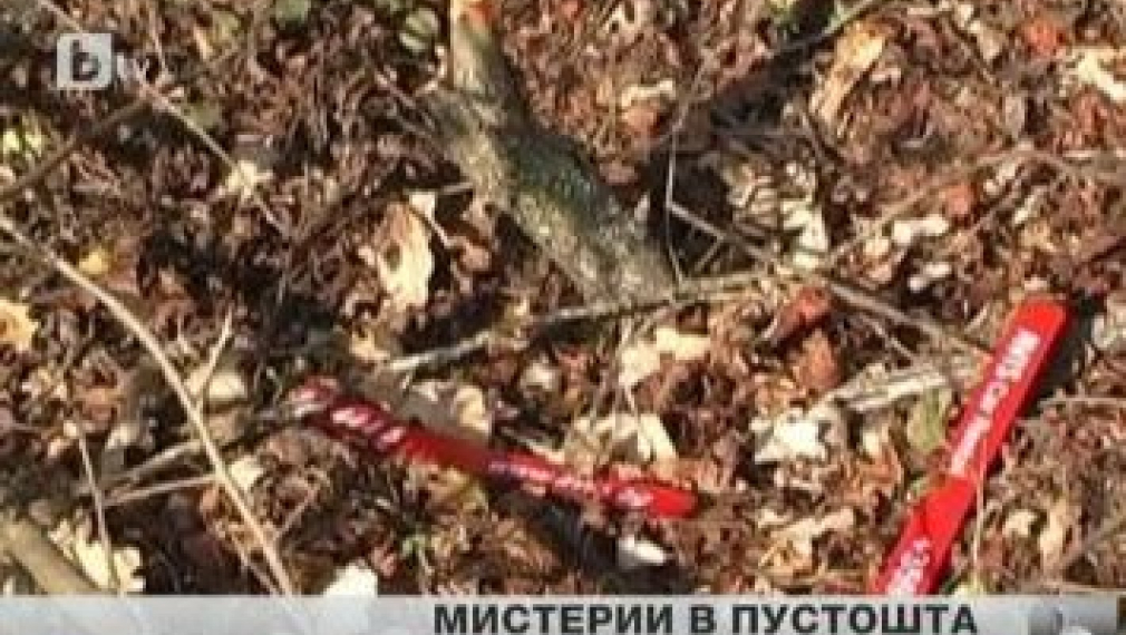 Терористи или чужди агенти са французите, простреляни в с. Коиловци