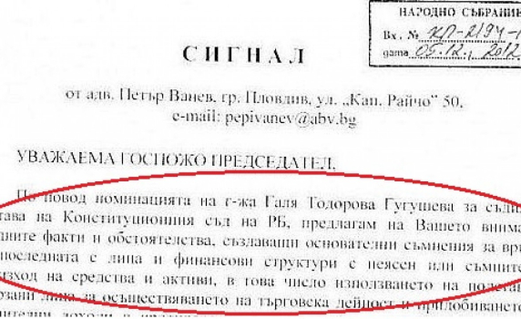 Проверяват фирми на Гугушева и сина й за пране на пари 