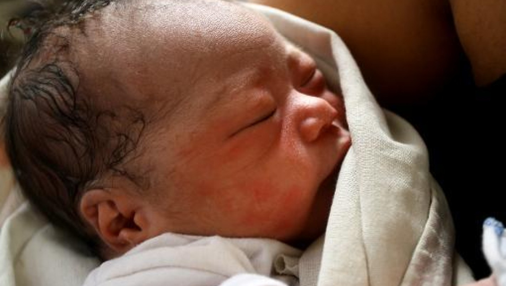 Филипините: като по чудо се роди нов живот сред развалините