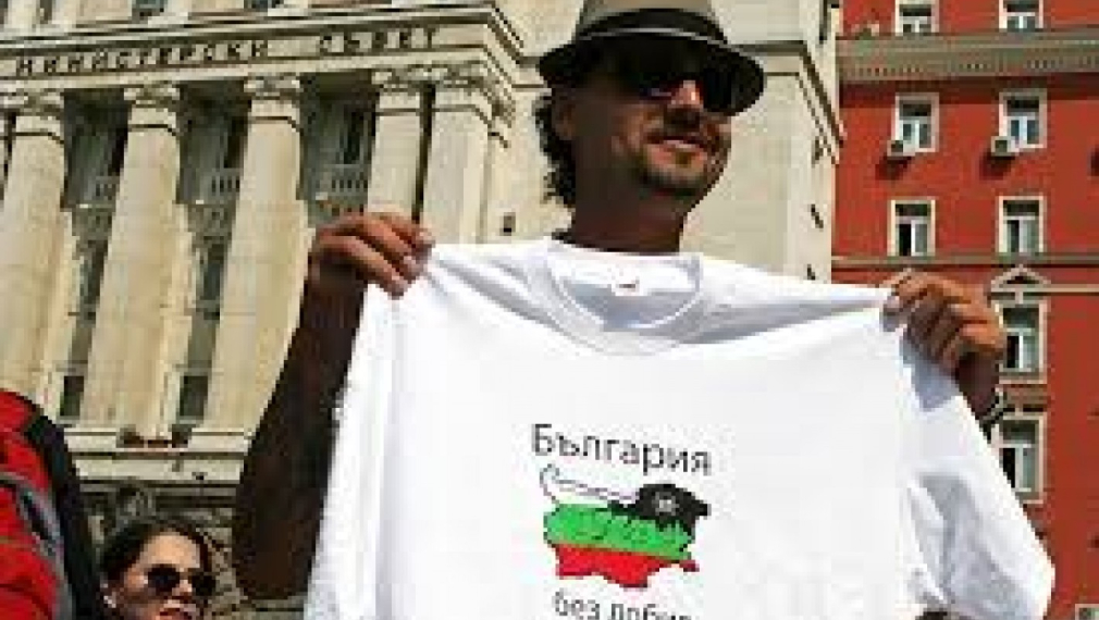 България гласува в ЕС за по-лек режим за търсене на шистов газ  
