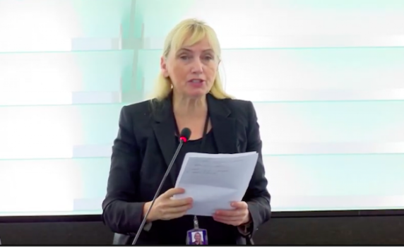 Елена Йончева: Вървим към изграждането на обща европейска отбрана