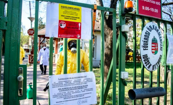 Унгария съобщи за рекорден брой починали от Covid за денонощие