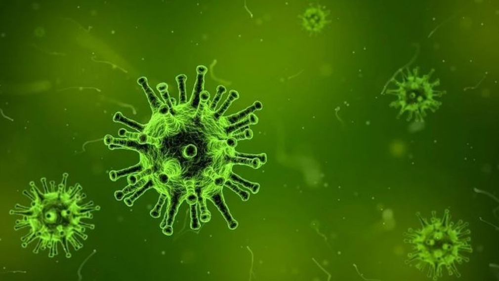 Учени са установили, че коронавирусът SARS-CoV-2 мутира веднъж седмично