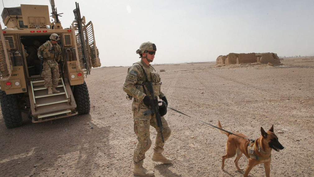 При изтеглянето си американските войници оставили 200 армейски кучета без храна и вода на летището в Кабул