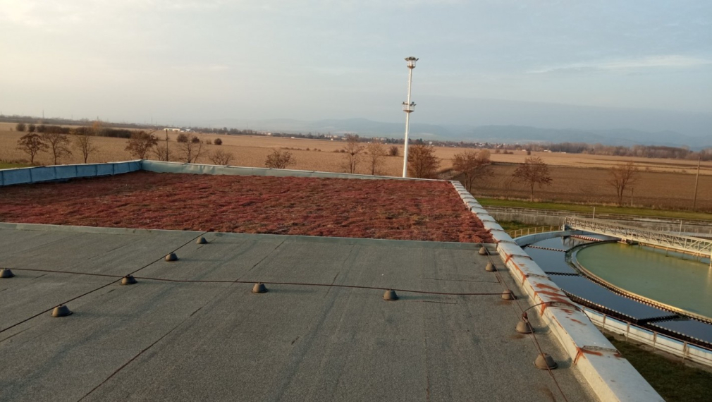 Зелен покрив в СПСОВ Кубратово е новият научен експеримент на  „Софийска вода“