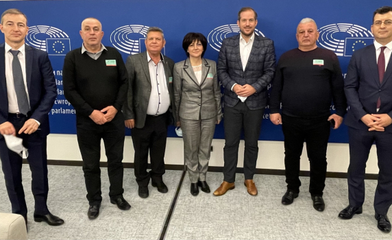 ЕНП ще постави в Европарламента темата за върховенството на закона в България