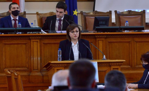 Корнелия Нинова от парламента: Държавата ще добива дърва и ще ги продава без надценка
