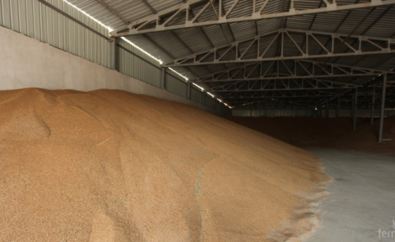 Държавата спешно изкупува зърното от нашите производители
