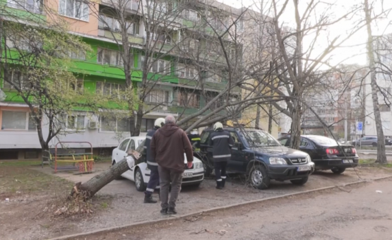 Ураганният вятър във Враца достигна 160 км/ч, обявено е частично бедствено положение
