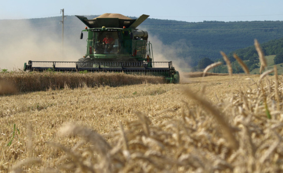 Земеделски кооперации в Добричко се опасяват от фалити заради безмитен внос от Украйна