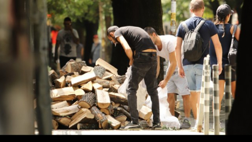 Търсенето на дърва за огрев е в пъти по-голямо от предходни години в някои населени места