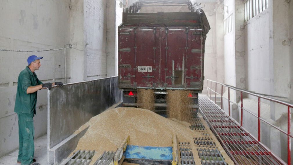 И Румъния обмисля забрана на внос на украинско зърно